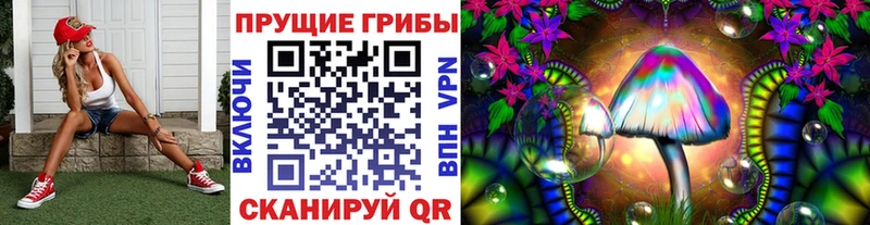 купить наркоту  Берёзовский  Псилоцибиновые грибы Psilocybine cubensis 